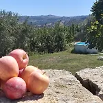 Casa Do Feitor - Douro - Quinta Da Cabrida *