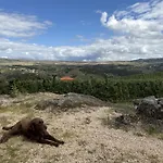 Casa Do Feitor - Douro - Quinta Da Cabrida *