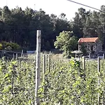 Casa Do Feitor - Douro - Quinta Da Cabrida Casa de Férias