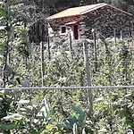 Vakantiehuis Casa Do Feitor - Douro - Quinta Da Cabrida
