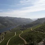 Vakantiehuis Casa Do Feitor - Douro - Quinta Da Cabrida
