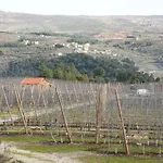 Casa Do Feitor - Douro - Quinta Da Cabrida * Sendim (Viseu)
