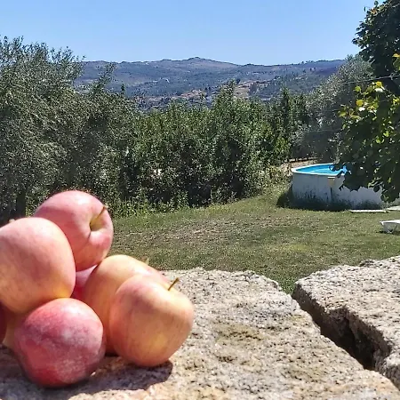 Casa Do Feitor - Douro - Quinta Da Cabrida *