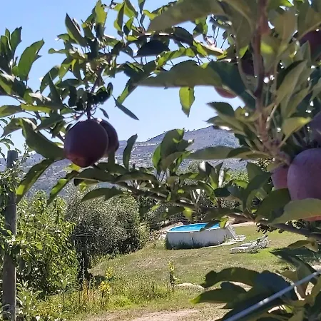 Holiday home Casa Do Feitor - Douro - Quinta Da Cabrida