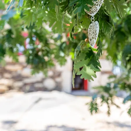 Casa Do Feitor - Douro - Quinta Da Cabrida Holiday home Sendim (Viseu)