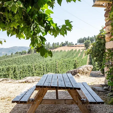 Holiday home Casa Do Feitor - Douro - Quinta Da Cabrida Sendim (Viseu)