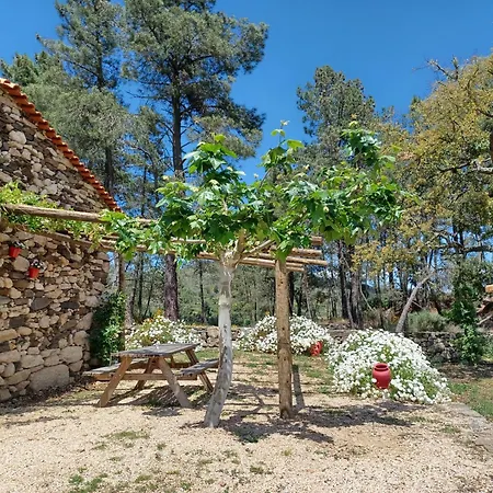 Casa Do Feitor - Douro - Quinta Da Cabrida * Sendim (Viseu)