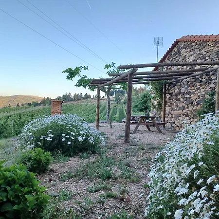 Quinta Da Cabrida - Casa Do Feitor - Douro Holiday home