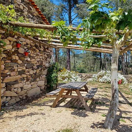 Holiday home Quinta Da Cabrida - Casa Do Feitor - Douro