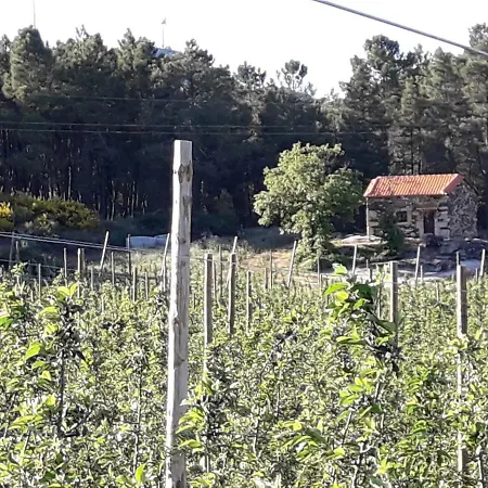 Quinta Da Cabrida - Casa Do Feitor - Douro Holiday home
