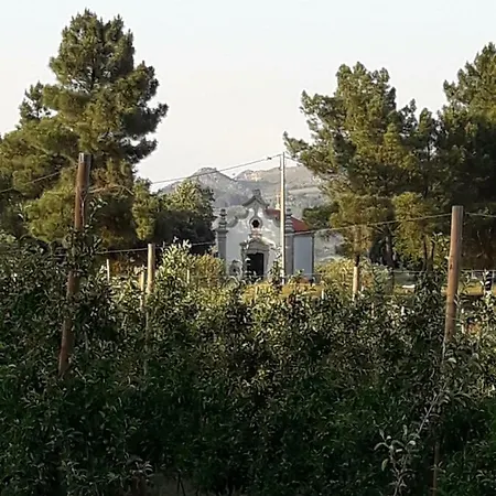 Quinta Da Cabrida - Casa Do Feitor - Douro * Sendim (Viseu)