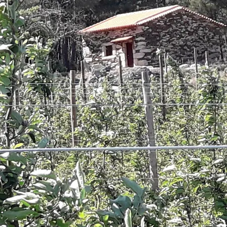 Holiday home Casa Do Feitor - Douro - Quinta Da Cabrida