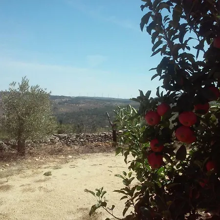Quinta Da Cabrida - Casa Do Feitor - Douro