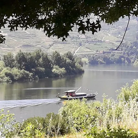 Holiday home Casa Do Feitor - Douro - Quinta Da Cabrida Sendim (Viseu)