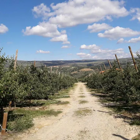 Quinta Da Cabrida - Casa Do Feitor - Douro Holiday home *