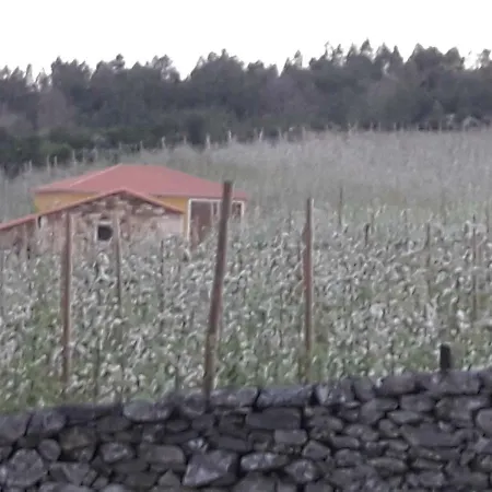 Holiday home Casa Do Feitor - Douro - Quinta Da Cabrida *