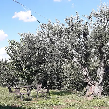 Casa Do Feitor - Douro - Quinta Da Cabrida *