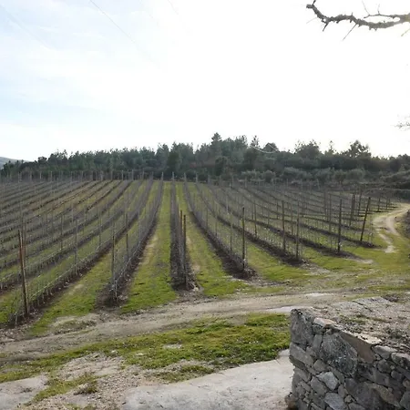 Σπίτι διακοπών Casa Do Feitor - Douro - Quinta Da Cabrida *