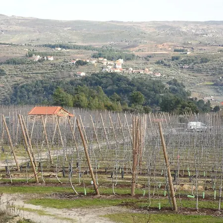 Quinta Da Cabrida - Casa Do Feitor - Douro * Sendim (Viseu)