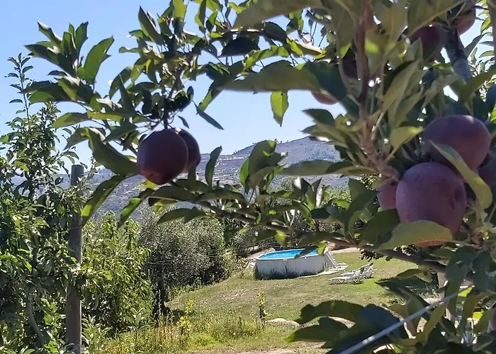 Vakantiehuis Casa Do Feitor - Douro - Quinta Da Cabrida
