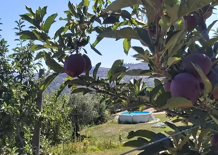 Casa Do Feitor - Douro - Quinta Da Cabrida * Sendim (Viseu)