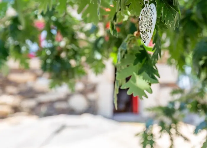 Casa Do Feitor - Douro - Quinta Da Cabrida Vakantiehuis Sendim (Viseu)