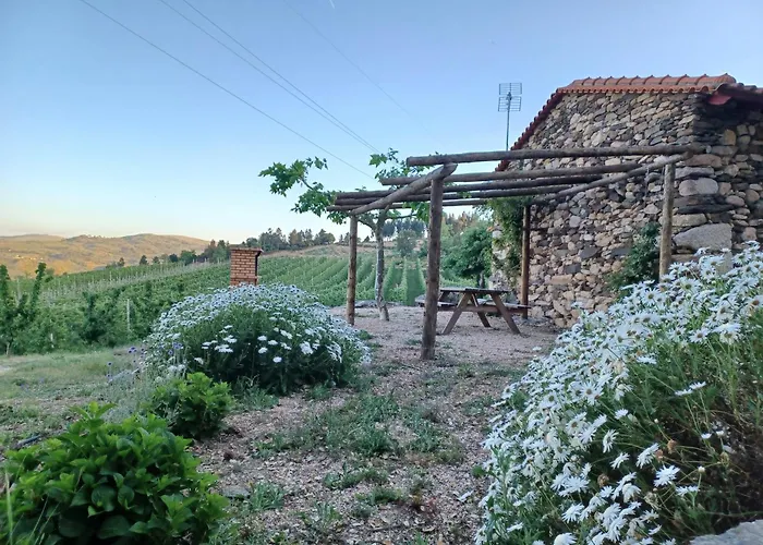 Casa Do Feitor - Douro - Quinta Da Cabrida Дом отдыха