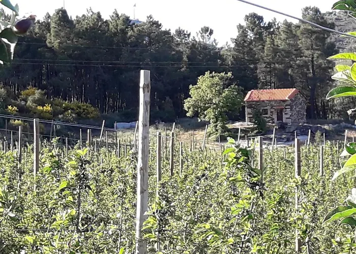 Casa Do Feitor - Douro - Quinta Da Cabrida Holiday home