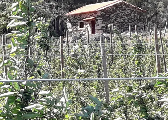 Дом отдыха Casa Do Feitor - Douro - Quinta Da Cabrida