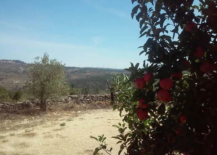 Casa Do Feitor - Douro - Quinta Da Cabrida