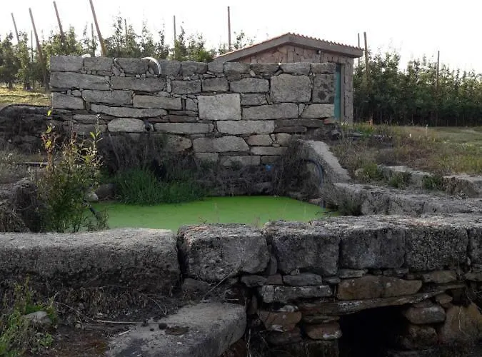 Casa Do Feitor - Douro - Quinta Da Cabrida Дом отдыха