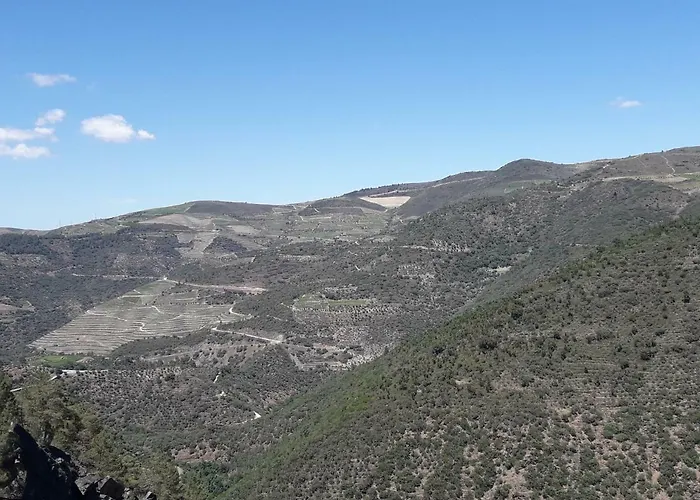 Casa Do Feitor - Douro - Quinta Da Cabrida * Sendim (Viseu)