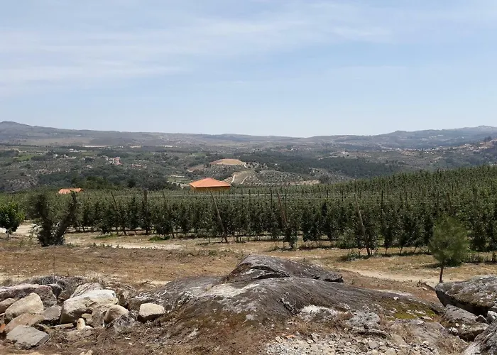 Дом отдыха Casa Do Feitor - Douro - Quinta Da Cabrida