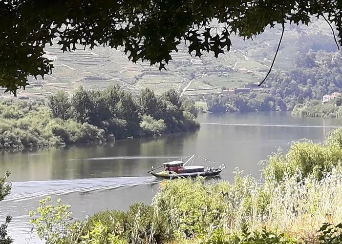 Dom wakacyjny Casa Do Feitor - Douro - Quinta Da Cabrida Sendim (Viseu)