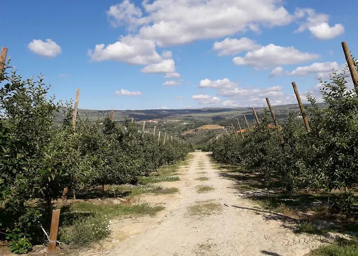 Casa Do Feitor - Douro - Quinta Da Cabrida Holiday home *