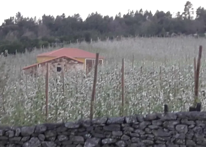 Vakantiehuis Casa Do Feitor - Douro - Quinta Da Cabrida *