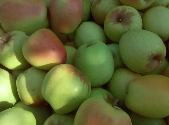 Casa Do Feitor - Douro - Quinta Da Cabrida * Sendim (Viseu)