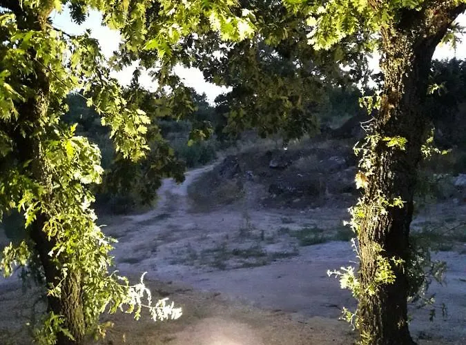 Casa Do Feitor - Douro - Quinta Da Cabrida Holiday home Sendim (Viseu)