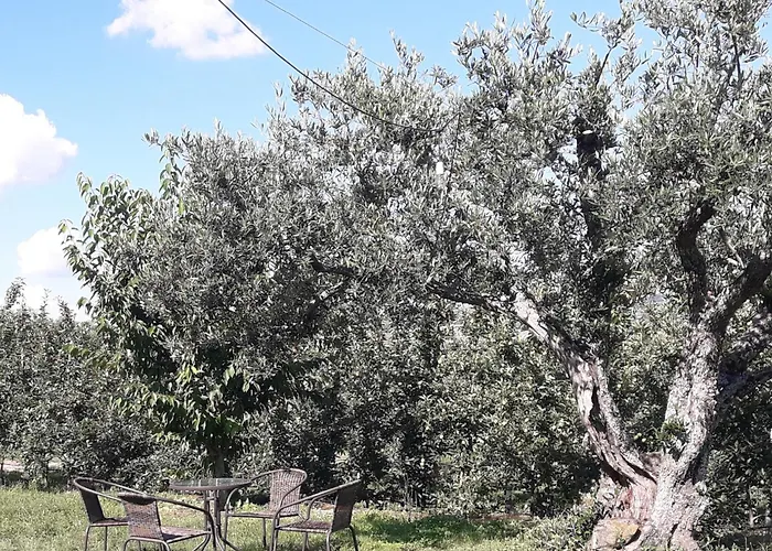 Casa Do Feitor - Douro - Quinta Da Cabrida *