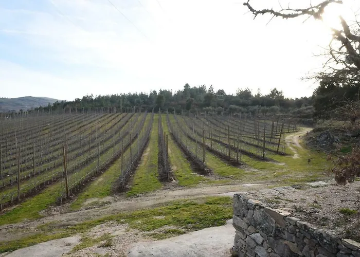 Дом отдыха Casa Do Feitor - Douro - Quinta Da Cabrida *