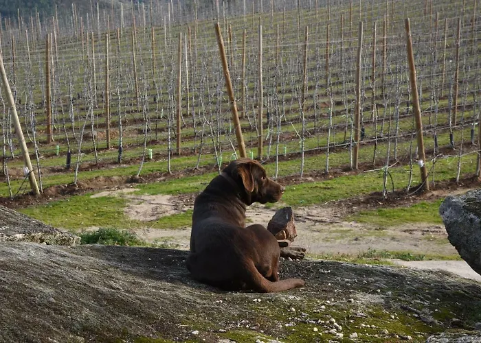 Casa Do Feitor - Douro - Quinta Da Cabrida *