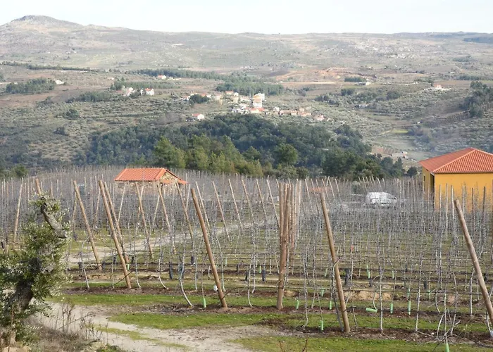 Casa Do Feitor - Douro - Quinta Da Cabrida * Sendim (Viseu)